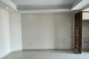 پروژه خیابان ولیعصر