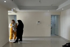 پروژه خیابان ولیعصر